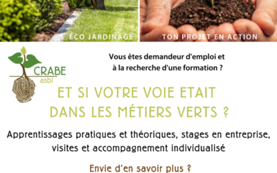 Quelles formations en 2023 au Crabe : vidéo (courte)