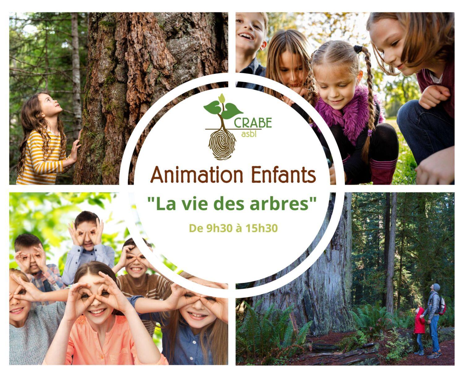 Graines de maraîcher - Animation pour enfants - La vie des arbres